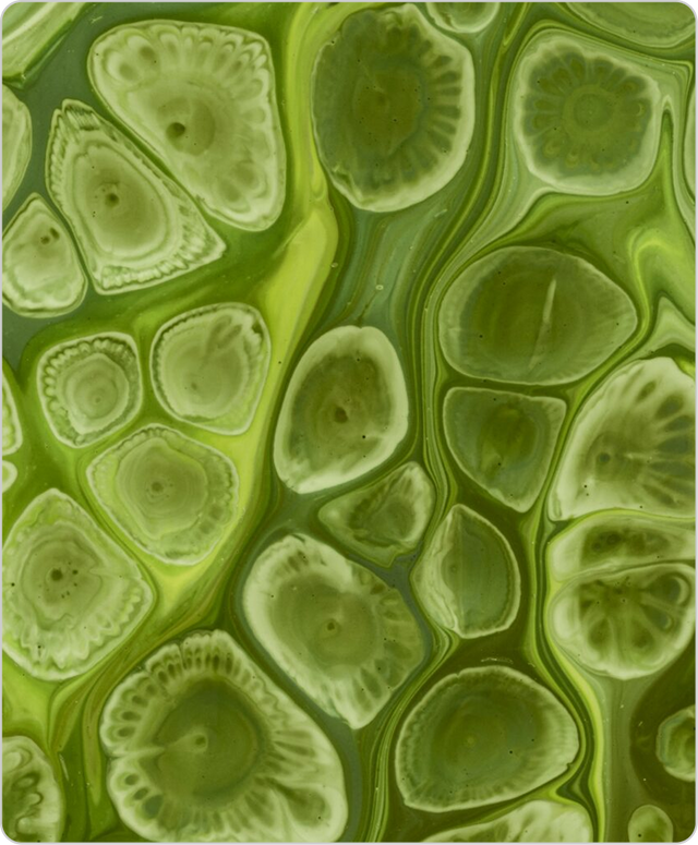 panthenol (pro vitamin b5)