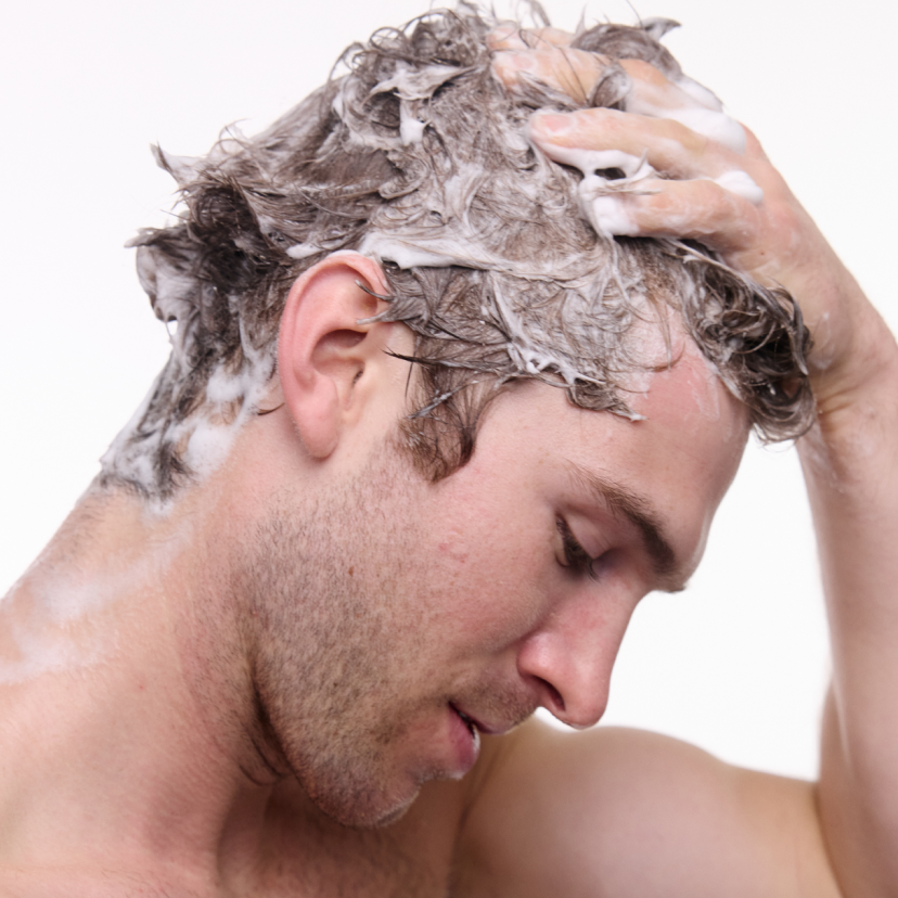ARB Shampoo+