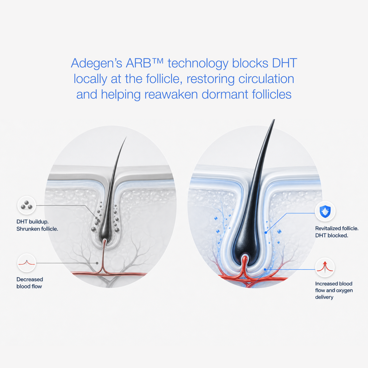 science of how adegen works